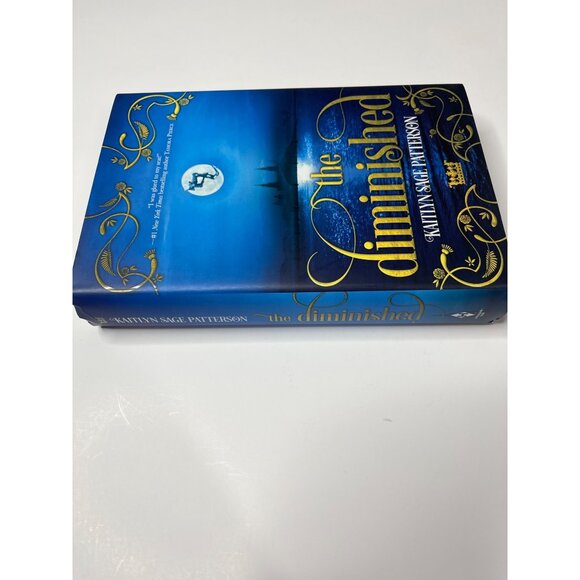 The Diminished Kaitlyn Sage Patterson YA Fantasy Book Harlequin Teen - Picture 2 of 4